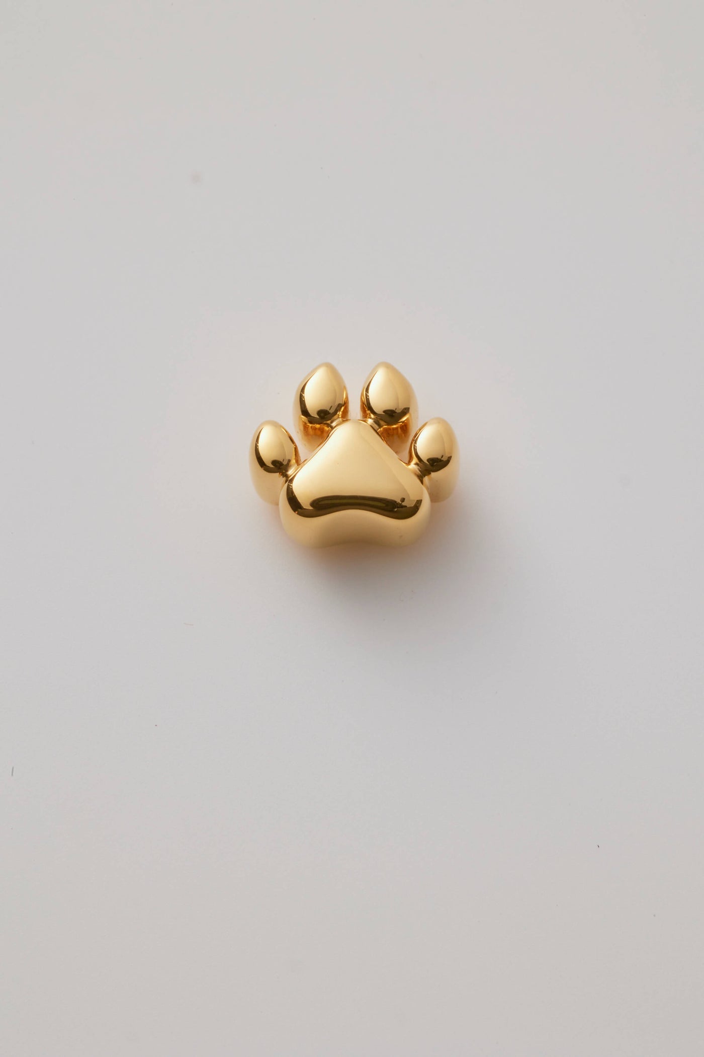 Ashes Dog Paw Charm