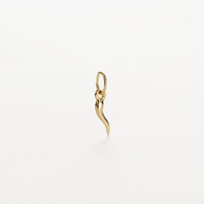 A small 9k gold earring featuring the "Small Horn of Plenty Charm" dangles elegantly from an oval loop. Set against a plain white background, this piece exudes understated simplicity.